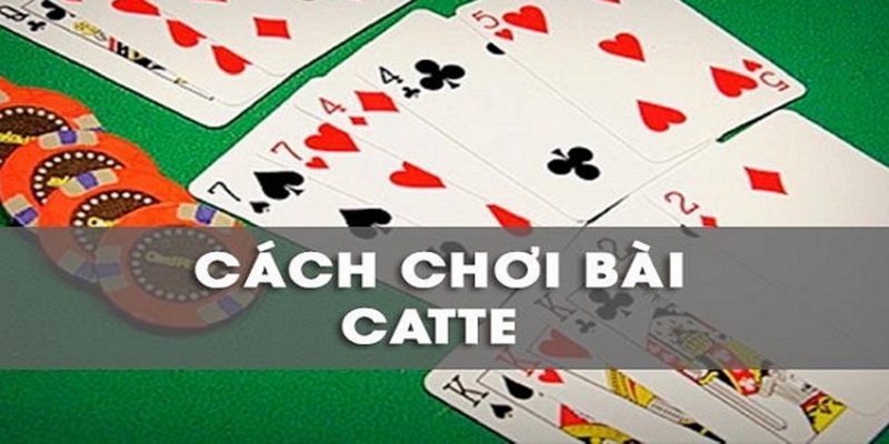 Phán đoán bài trên tay đối thủ khi chơi catte